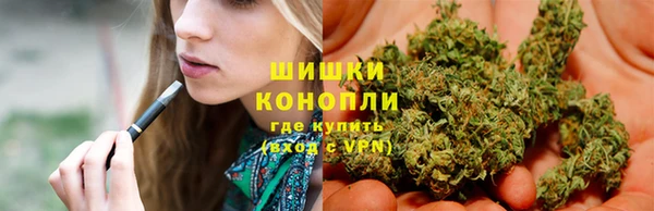 СК Осинники