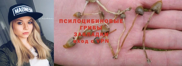 СК Осинники