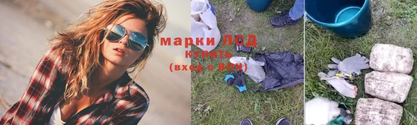 СК Осинники