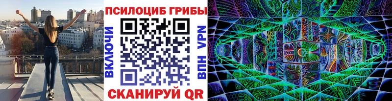mega ТОР  Щучье  Галлюциногенные грибы MAGIC MUSHROOMS  наркотики 